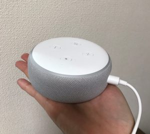 AmazonEhoDotアレクサ(第三世代)がうちにきた。子供の反応は?