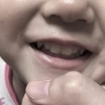 奥歯が生えそろう3歳前。何を食べさせればいい??