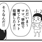 夏休み前に、すんが収穫したミニトマトの話