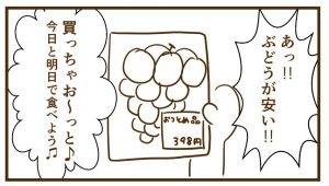 おつとめ品は早めに食べようね（泣）