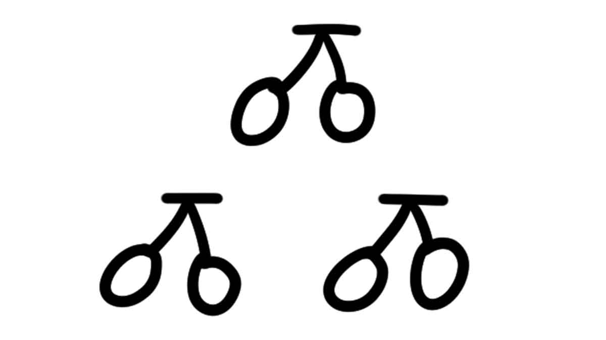 実が2つずつついたさくらんぼが3房