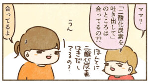 これは合ってる？